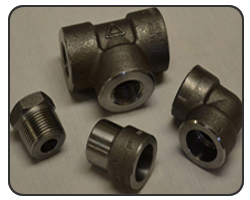 Carbon & Alloy Steel Forged fitting Carbon & Alloy Steel Forged fitting
