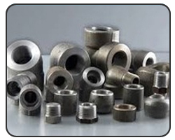 Titanium Forged fitting Titanium Forged fitting